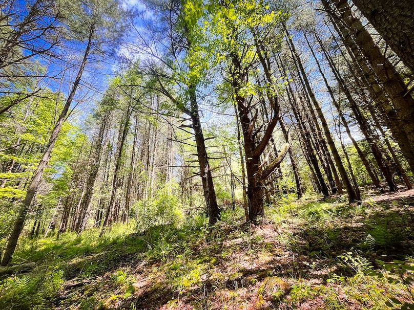 Tioga_28.322_VanNordstrand_Photos_29