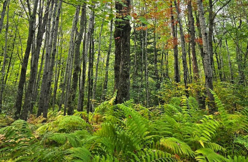 Resized_20250915_092759-1