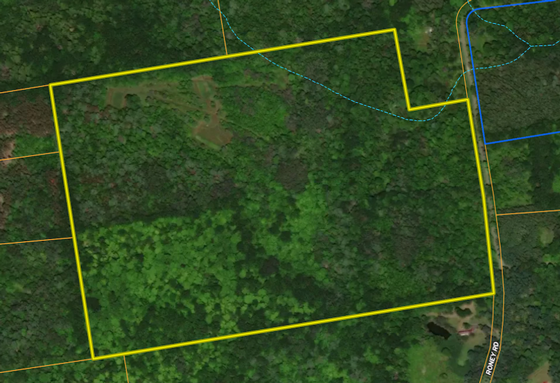 Albany Co 59.5 Neuman Water features map