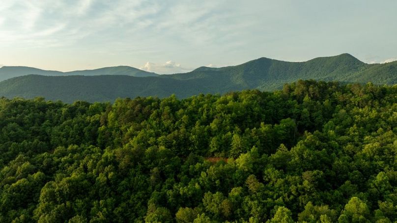 106 Featured_ProPhoto-104