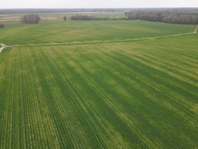 dji_fly_20260106_103820_783_1767987407034_photo