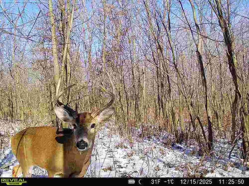 860516068100795-90-2-12152025112550-V-W1000127