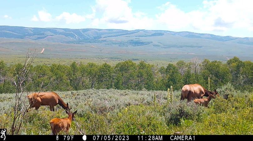 IMG_0032 - frame at 0m7s