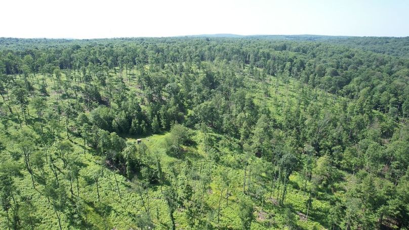 dji_fly_20250624_104214_363_1750776494098_photo