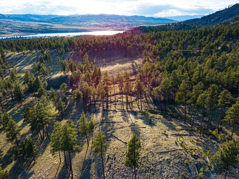 20250430-DJI_0021