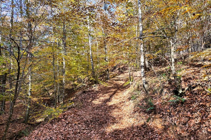31 Trail 04