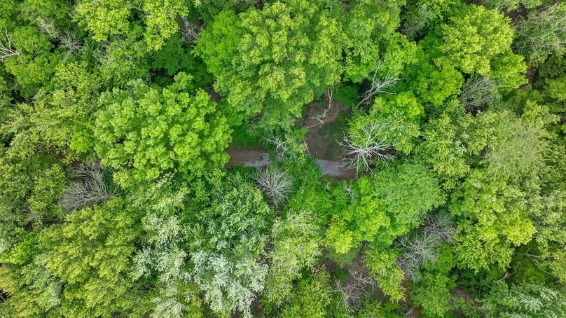 DJI_20250515174326_0035_D