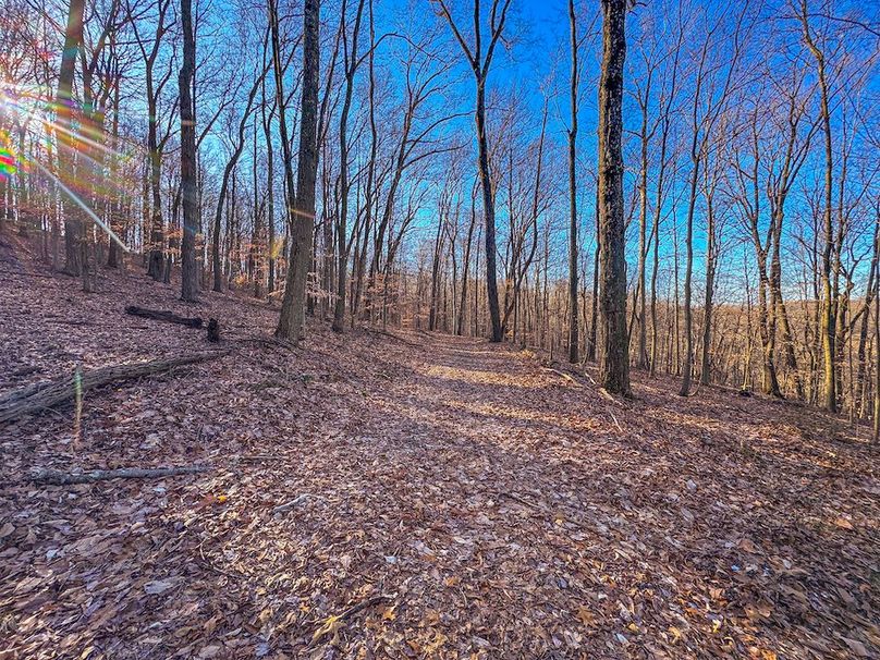 Pleasants, WV 81 AC Barron-25