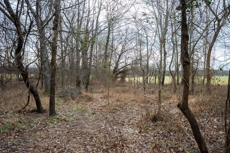 Copy of DSC00761 Large