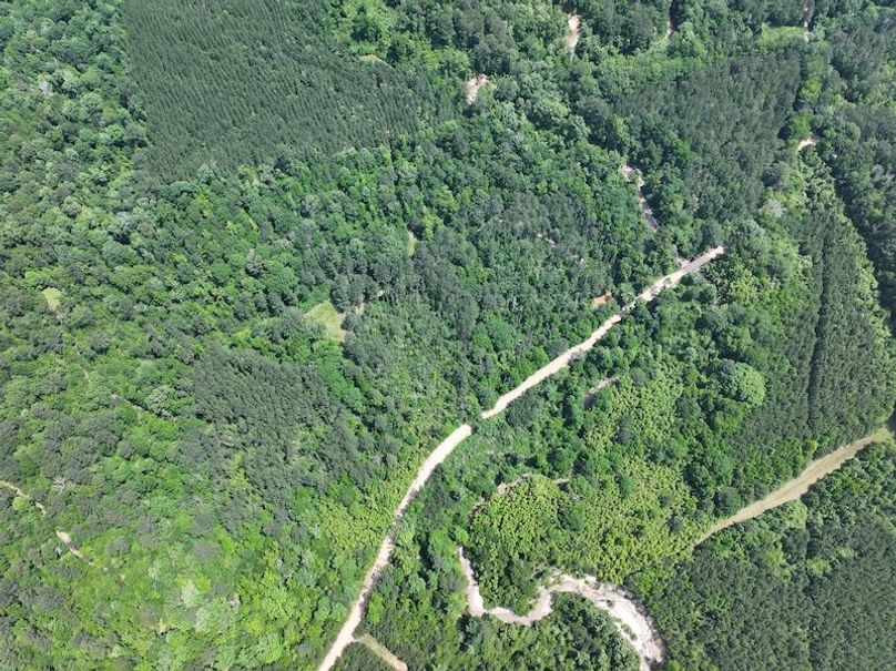 dji_fly_20260518_101612_0199_1779205359822_photo