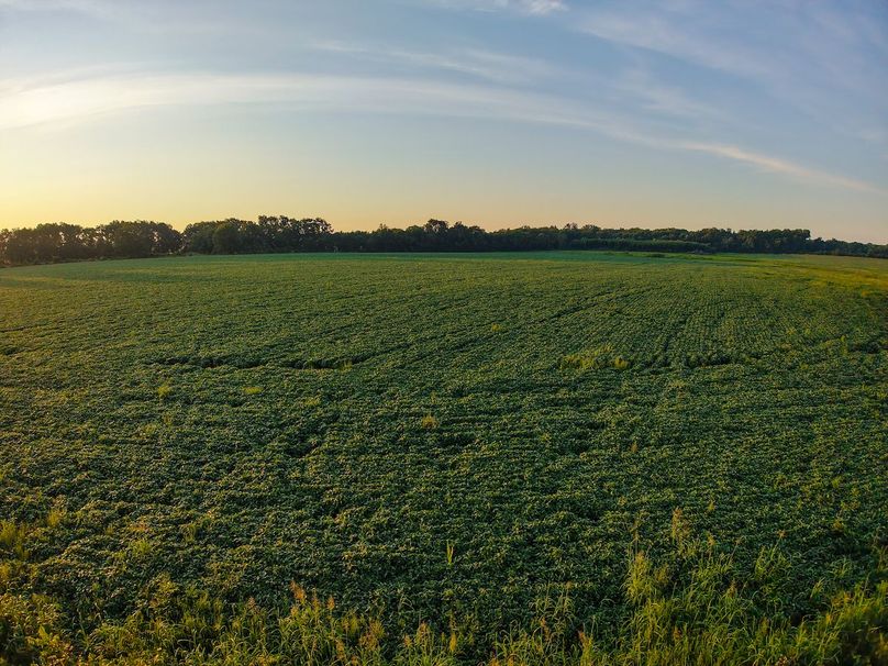 DJI_20250823071028_0924_D