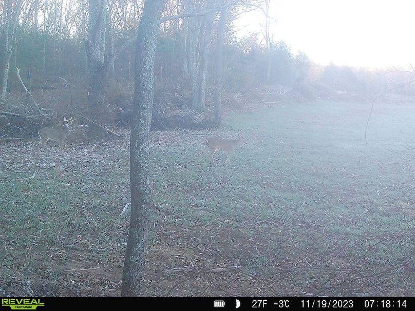 trail cam and harvest11