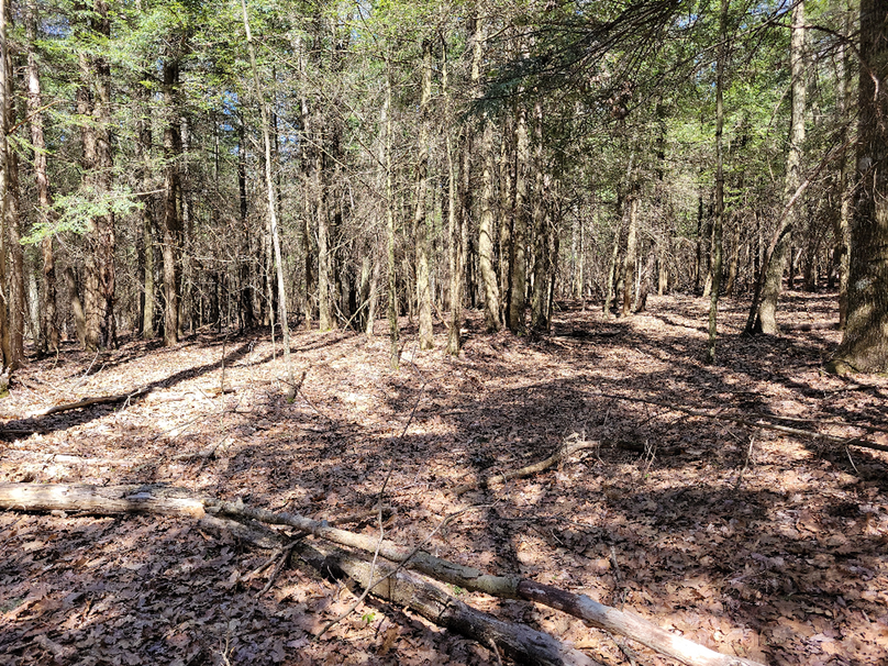 photo_833000000