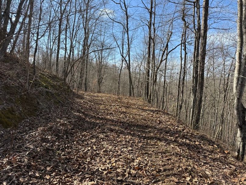 026 a open road_trail leading south into the south area of the property near the ridge