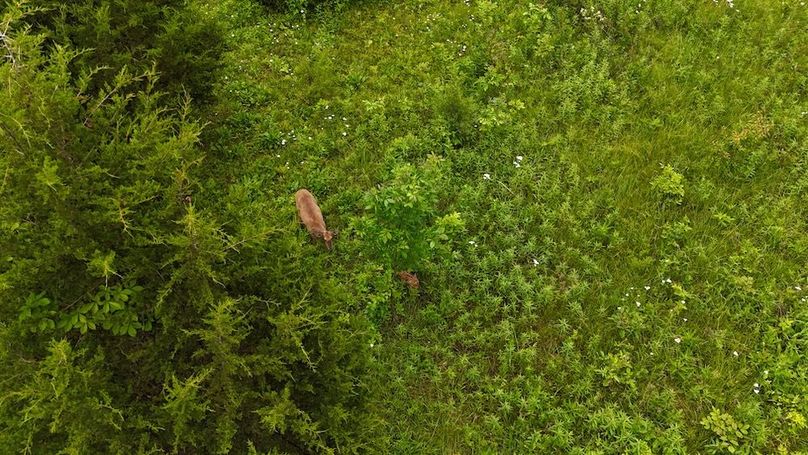 DJI_20250605132337_0664_D