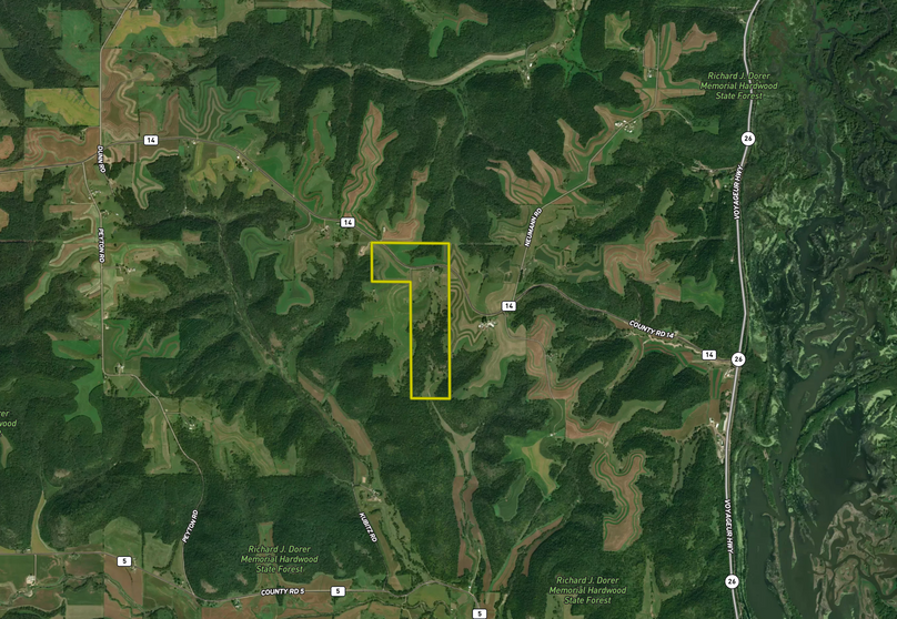 Screen Shot 2023-12-01 at 12.55.54 PM