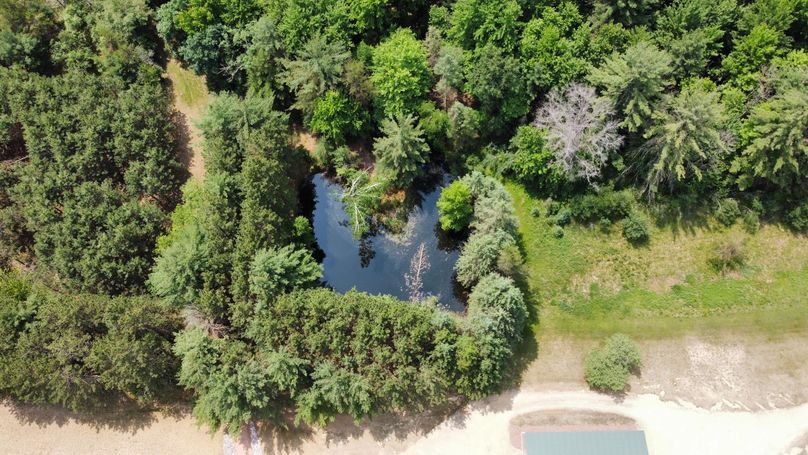 dji_fly_20230610_115752_604_1686416469381_photo_optimized