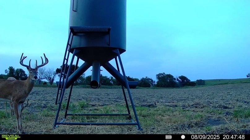 016579004651498-100-2-08092025204748-SYFW00267