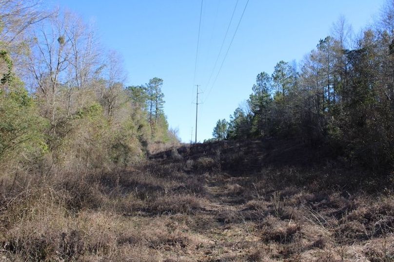 E8BCCE3D-11DE-4EA1-8C13-39F5F73F87A0_1_105_c