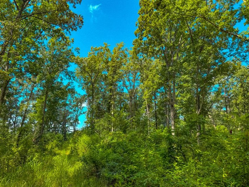 Itawamba 400 Moore-45