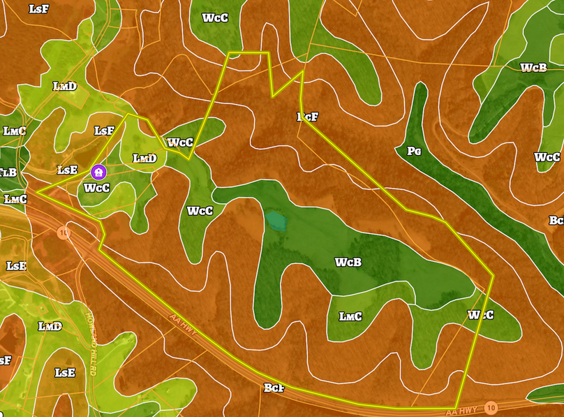 Screenshot 2026-03-02 at 9.56.06 AM