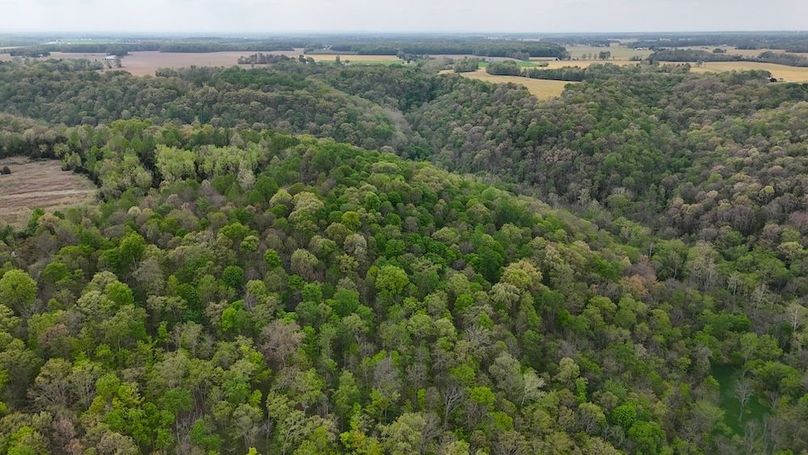 DJI_20260415155809_0460_D