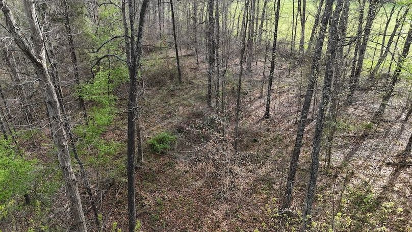 DJI_20260403174721_0237_D