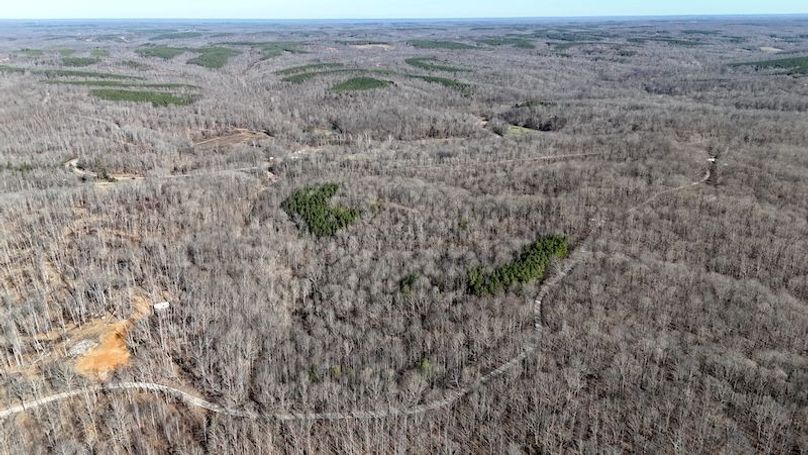 DJI_20260112113447_0024_D