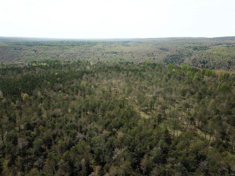 DJI_0010