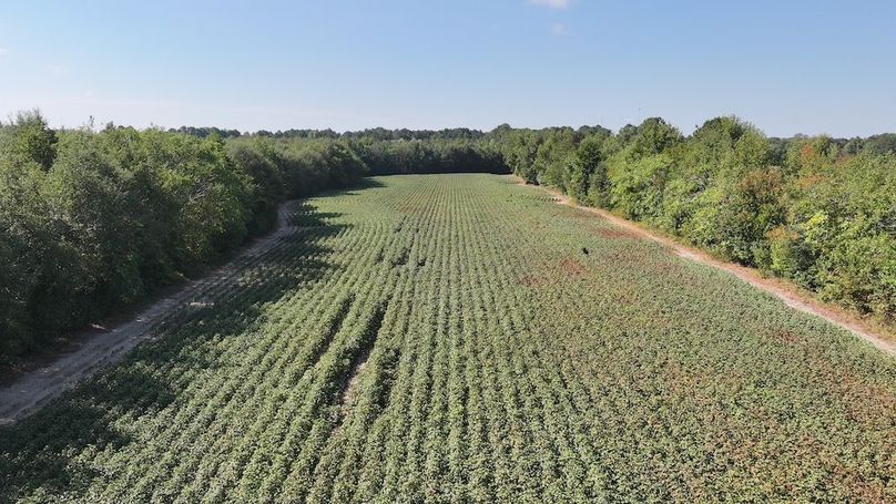 DJI_20250911023919_0316_D