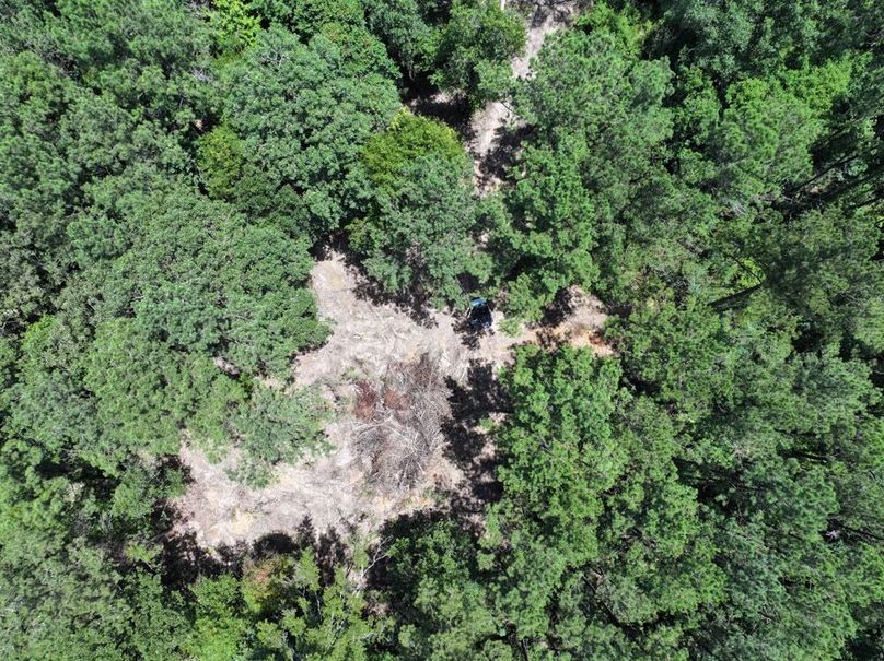 dji_fly_20250708_123924_0214_1752089881794_photo