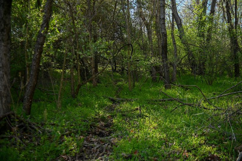 vandalia 450 (2)-2473