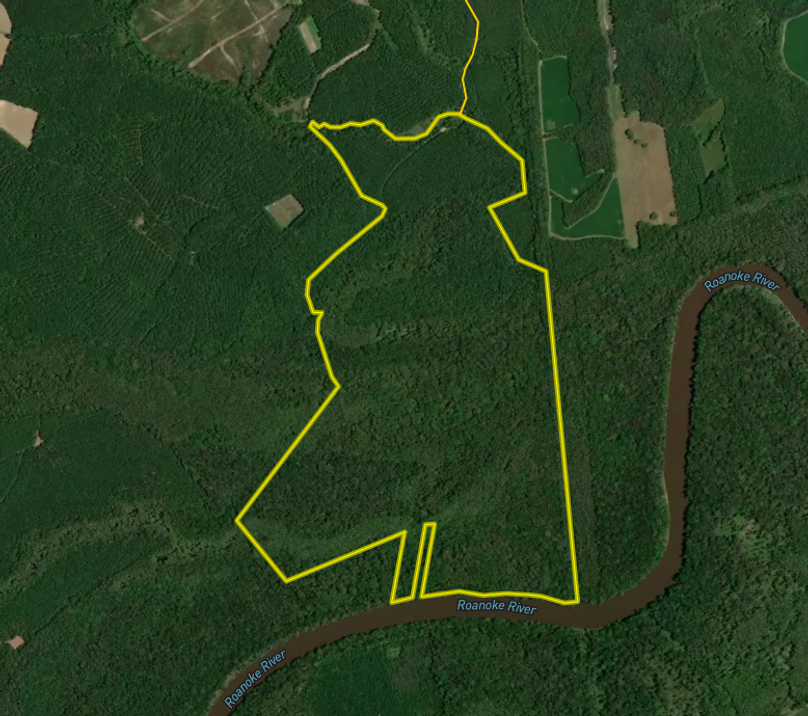 Bertie Co, NC 350 - Zoom