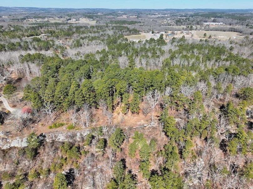 DJI_20260212111344_0012_V