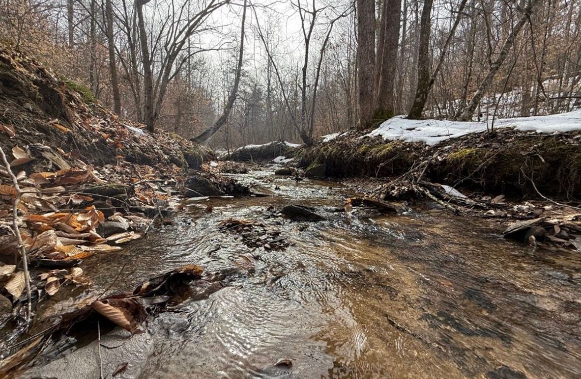 002 Grampus Branch stream flowing through the main part of the property