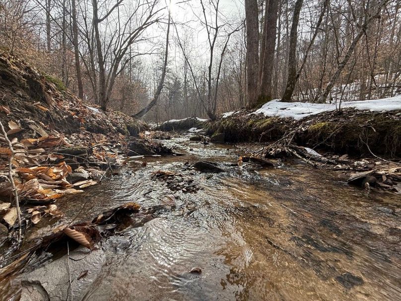 002 Grampus Branch stream flowing through the main part of the property