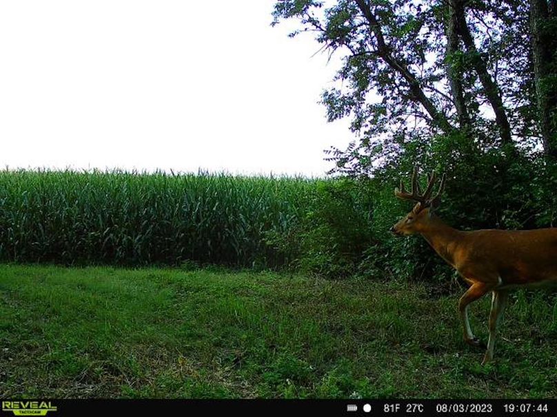 8effd209-1e3a-4767-bda7-c40bfebe1690