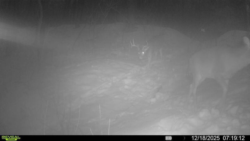 016579001605604-100-4-12182025071912-SYFW04024