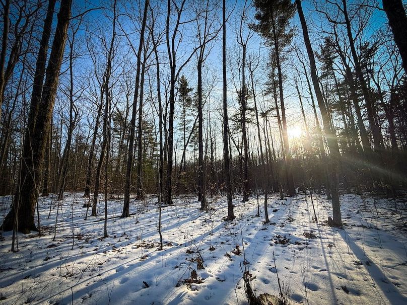 Seneca_43_Hohwald_Photos_11