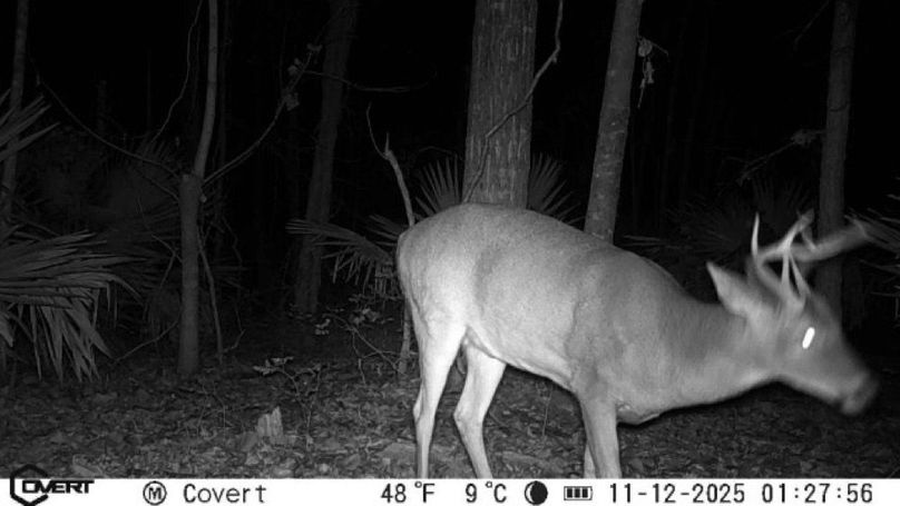 11_12_2025_01_27_56_3249803562