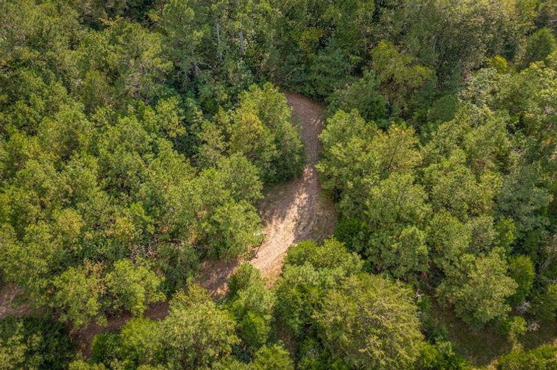 St Clair 2020250915_0174