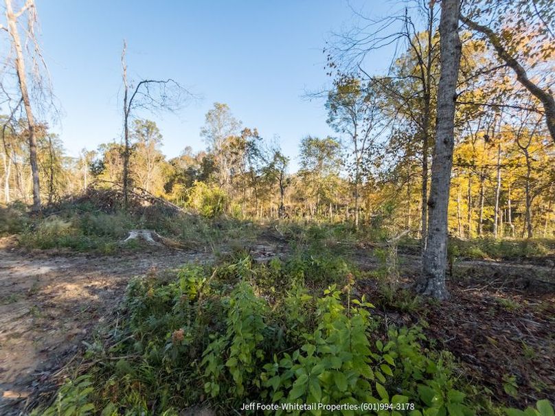 Claiborne Co-189-Geronimo-26