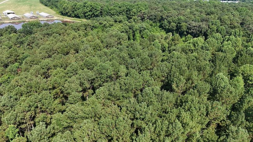 DJI_20250627100144_0123_D