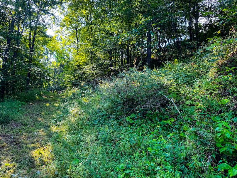 Lewis, WV 82.87 AC Barger-080