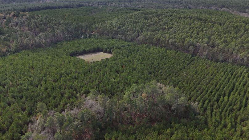 DJI_20231214124014_0016_D