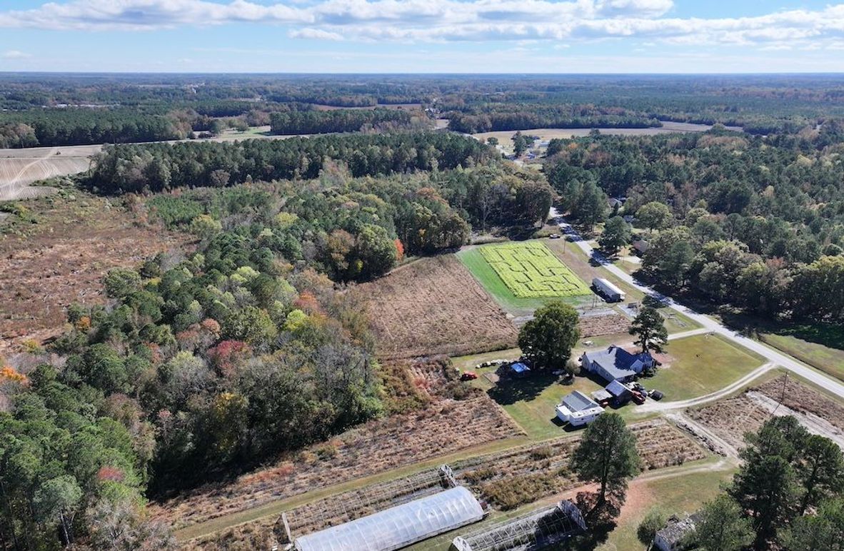 DJI_20251018124033_0146_D