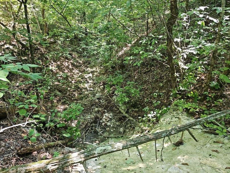 DJI_20240808_104542_153