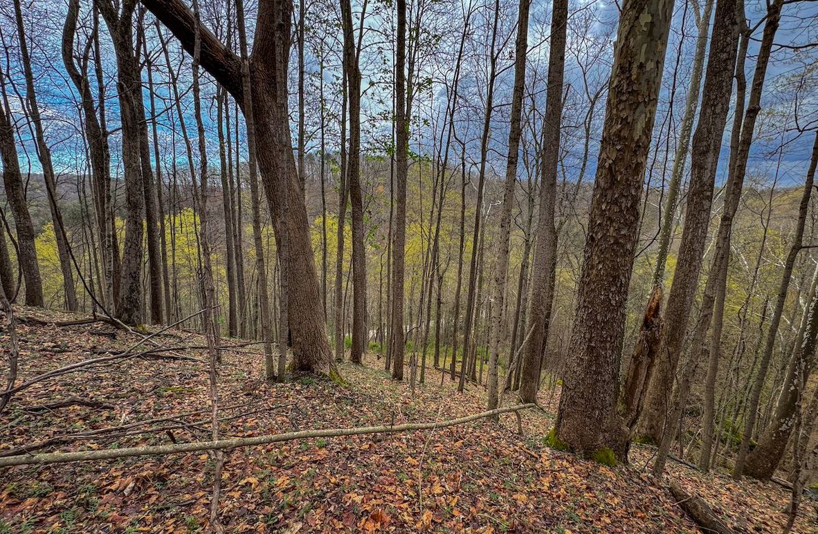 Wirt, WV 39.564 AC Full-03