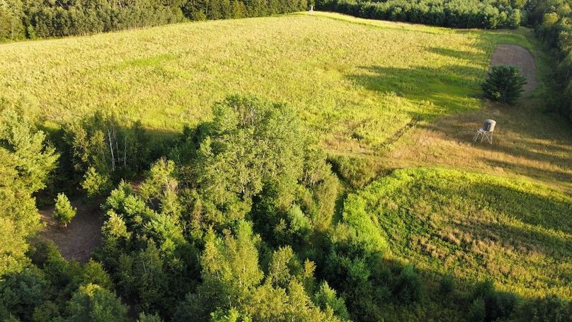 dji_fly_20240811_190618_734_1723421207215_photo_optimized