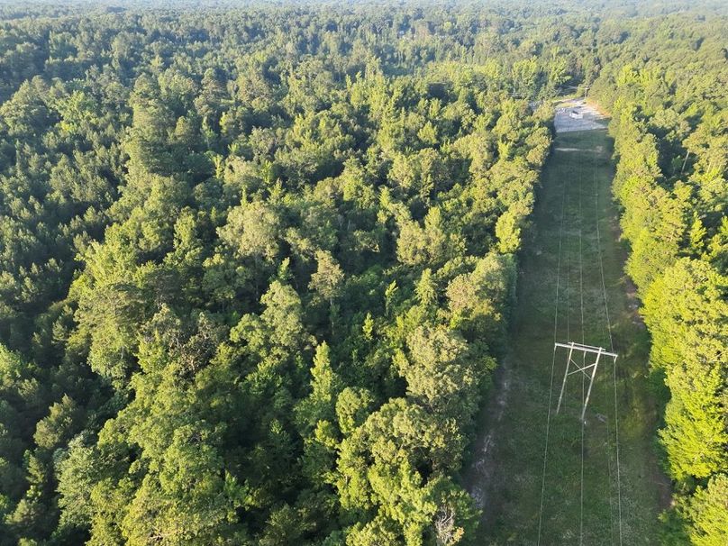 DJI_20250627071434_0012_V